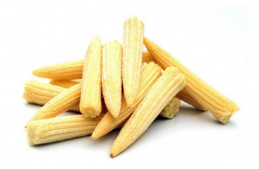 початки кукурузы